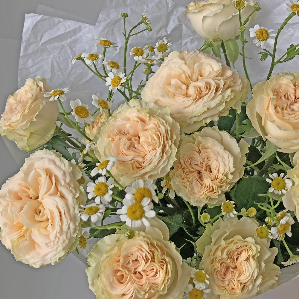 https://content2.flowwow-images.com/data/flowers/1000x1000/03/1716043147_61955903.jpg