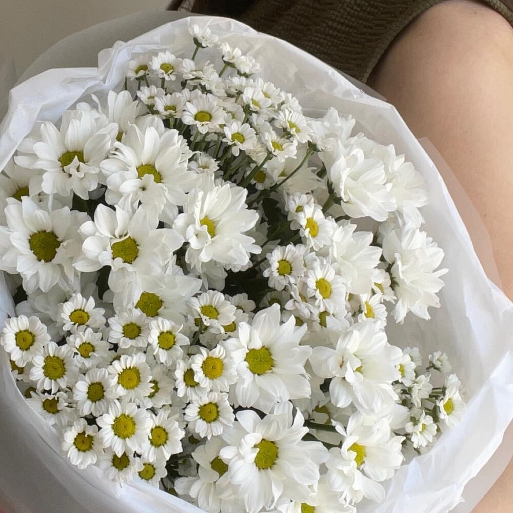 https://content2.flowwow-images.com/data/flowers/1000x1000/92/1719640301_45810792.jpg