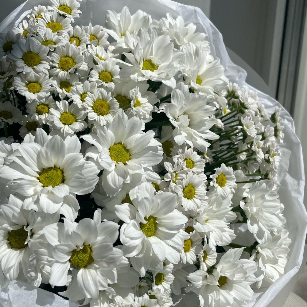 https://content2.flowwow-images.com/data/flowers/1000x1000/41/1719640301_68779841.jpg